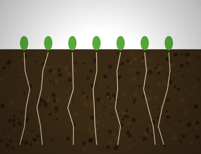Biochar carbon sink in soil