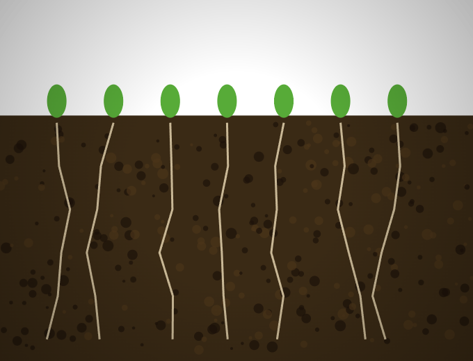 Biochar carbon sink in soil